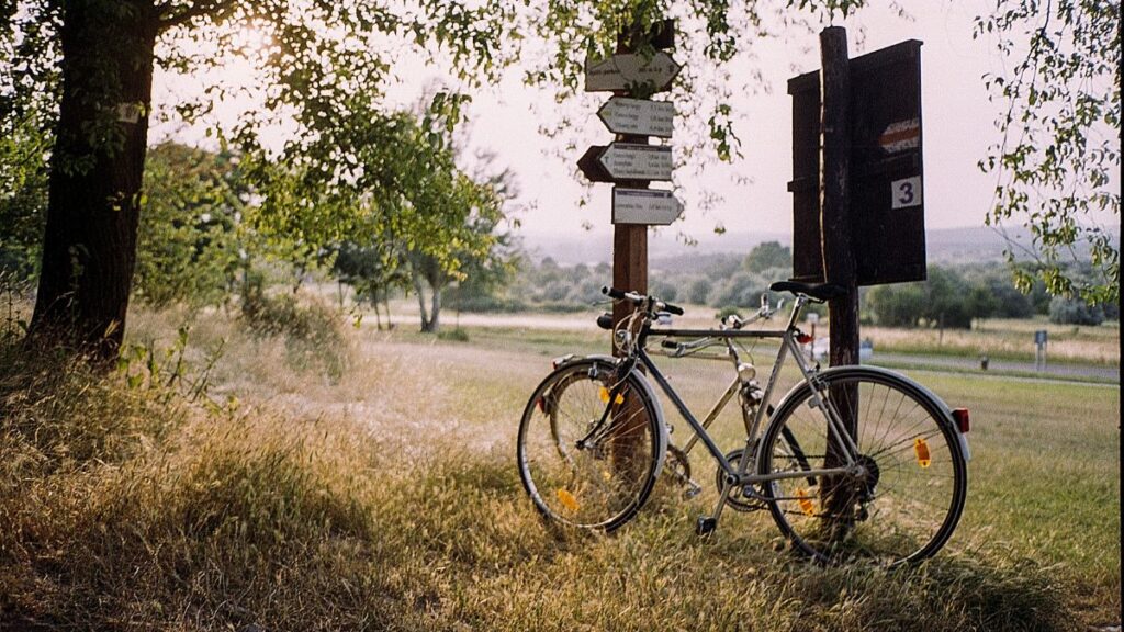 Bicycle Wheel Circle Radius NYT