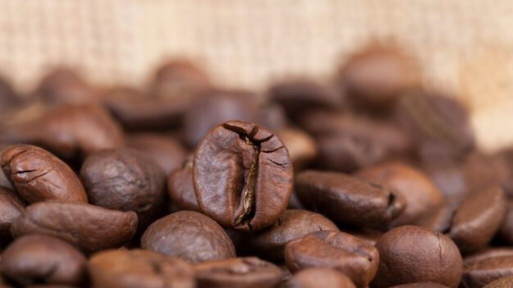 Agile Project Management of Coffee Internationally in Honduras