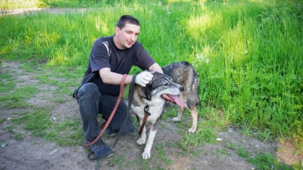 Canine Handler NYT Crossword