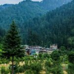 Hidden Gem of Himachal: Exploring the Enchanting Jibhi and Tranquil Tirthan Valley