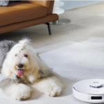 robot vacuum and mop