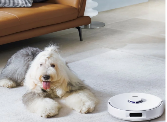 robot vacuum and mop